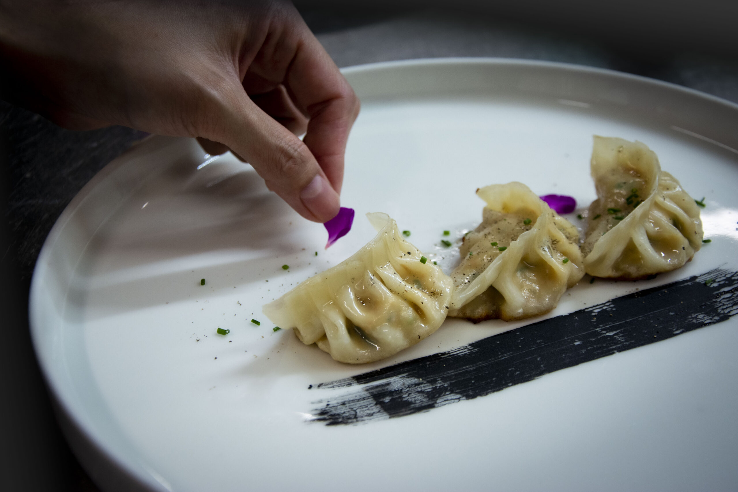 GYOZA MANO RU